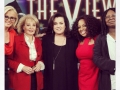 rosie-odonnell-randoms-theview