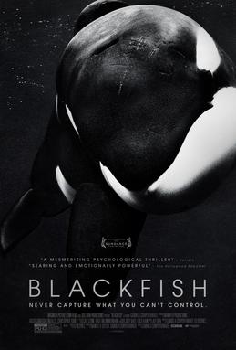 BLACKFISH_Film_Poster