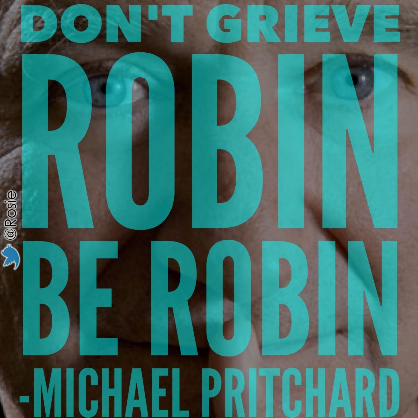 dont-grieve-robin-be-robin